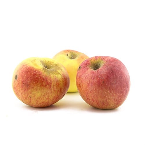 Organik Elma (kg) Salih Özkan Çiftliği