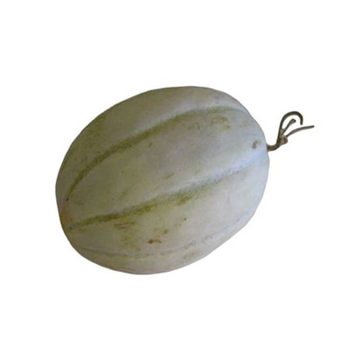 Organik Hırsız Çalmaz Kavun (1 kg)