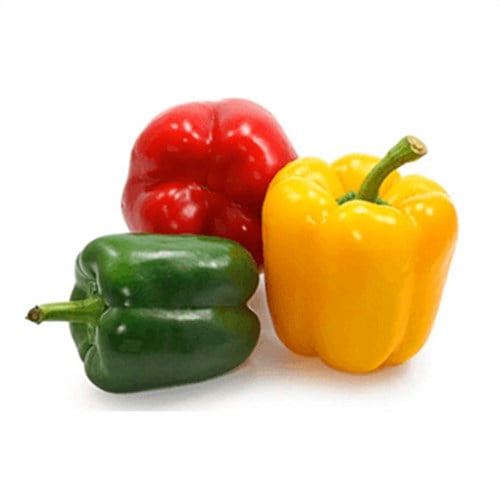 Organik Renkli California Biber (500 gr)
