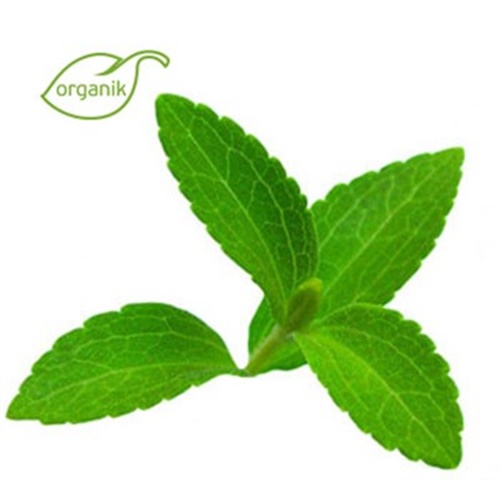 Organik Şeker Otu (demet)