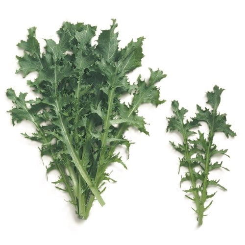 Radika Otu, 250 gr (Erüst)