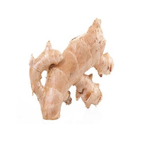 Zencefil (200 - 250gr) Tazemasa