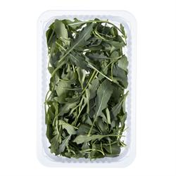 Roka (50 gr) Plant Factory