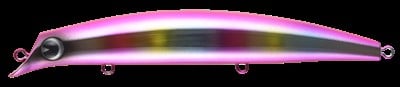 SASUKE 120 REPPA #X3681