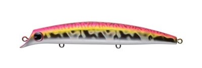 SASUKE 120 REPPA #X3670