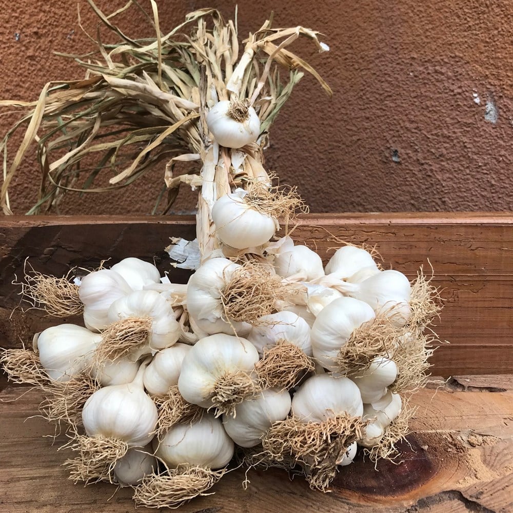 Beyaz Taşköprü Sarımsağı (1 kg)