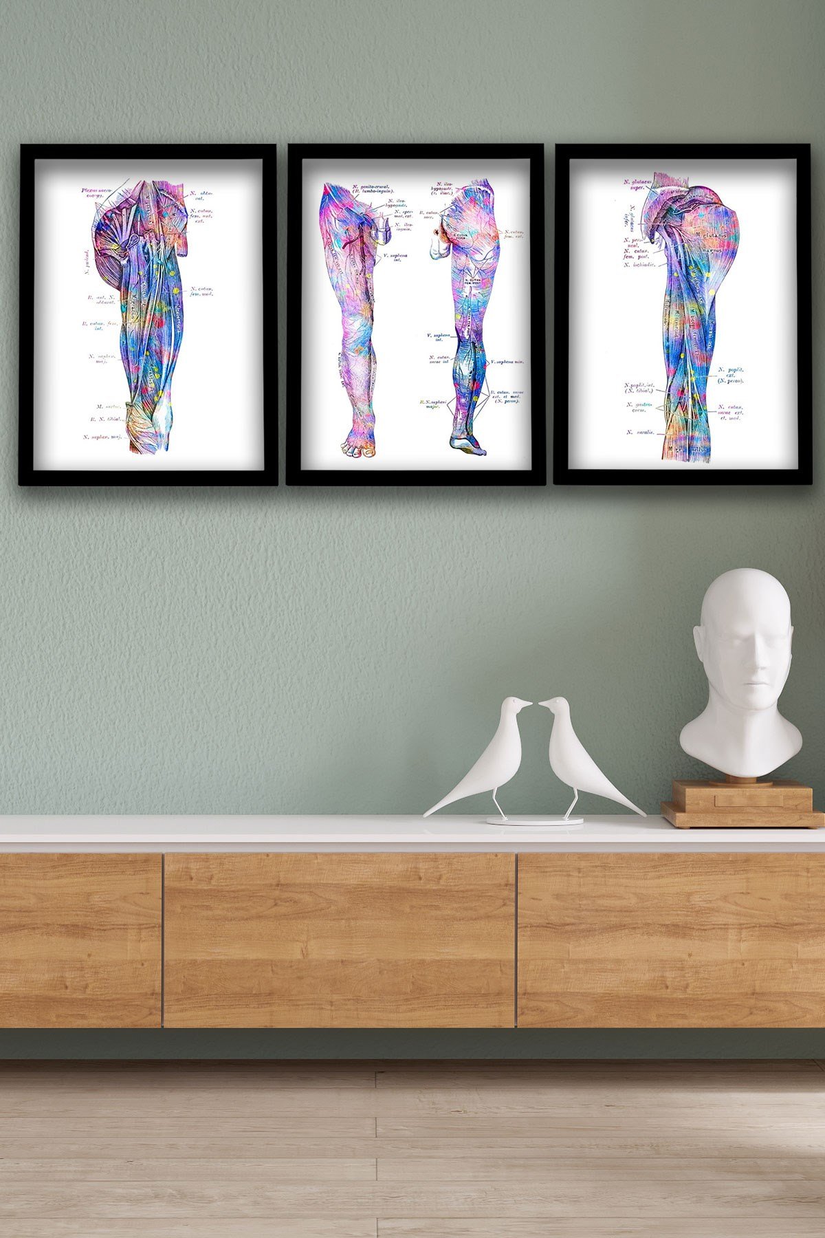Anatomik Tablo, Doktor Hediyesi, Ortopedi, Podiatrist, Ayak Anatomisi,  Ayak Kasları, Ayak Sinirleri, Doktor Odası  Duvar Tablosu 3 lü
