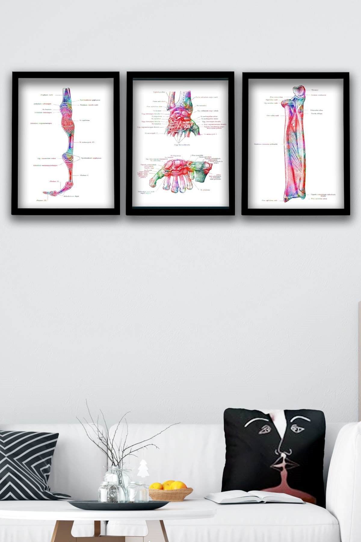 AnatomiK Tablo, El Kemikleri, Ortopedi, Doktor Odası Duvar Tablosu 3 lü