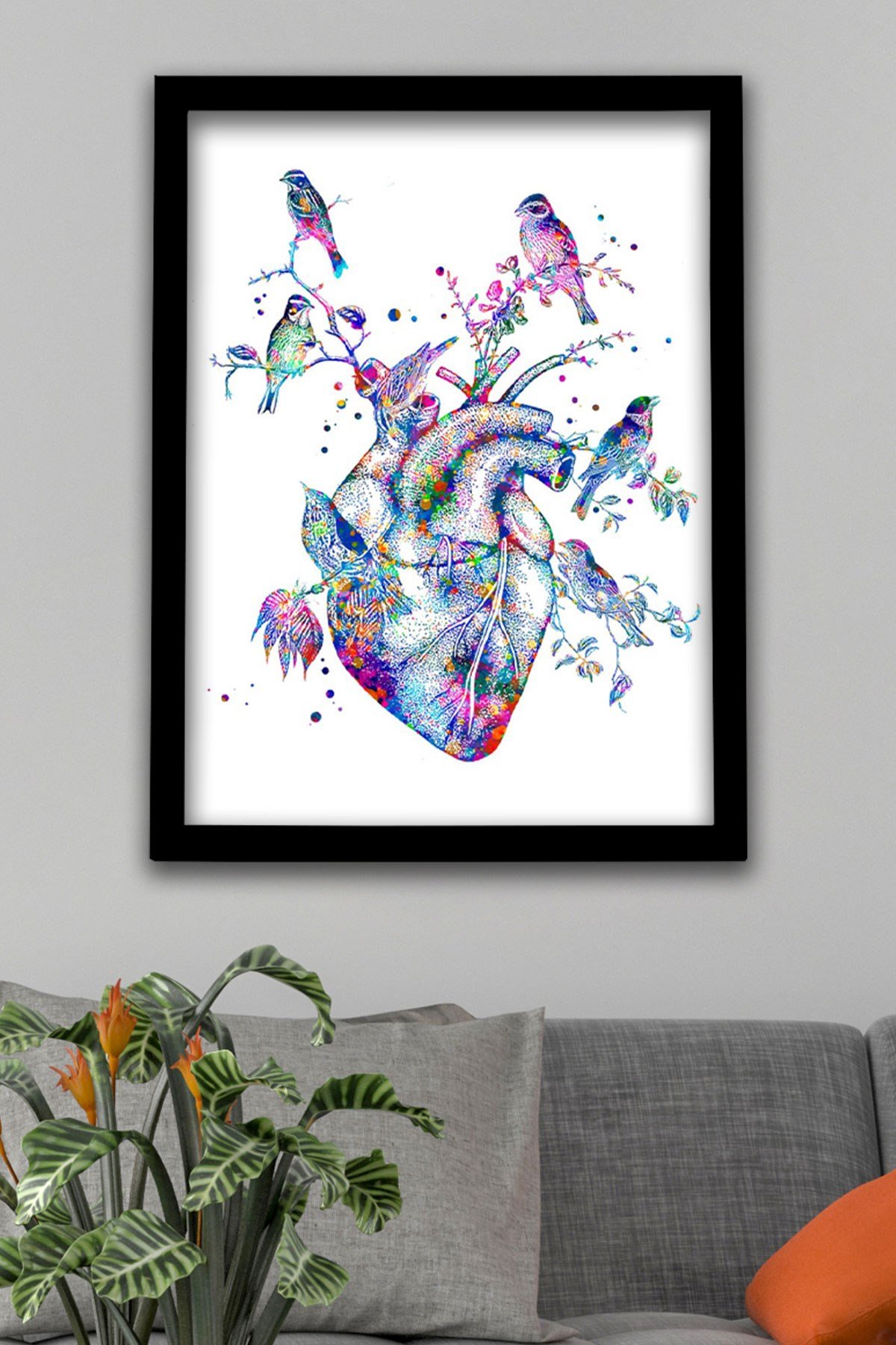 Anatomik Tablo, Kalp Anatomisi, Kalp, Kardiyoloji Dokotu Duvar Tablosu