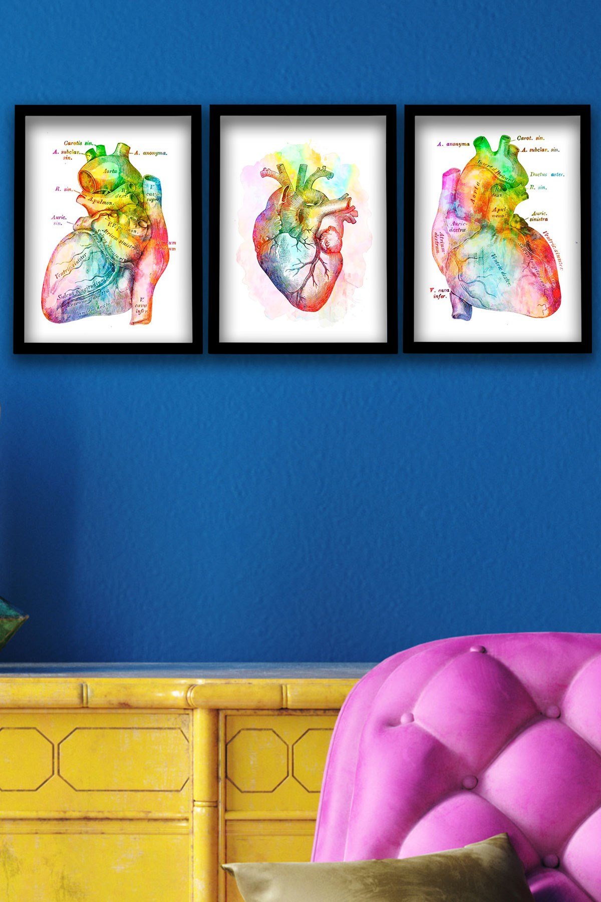 Anatomik Tablo, Kalp Anatomisi, Kalp, Kardiyoloji Dokotu Duvar Tablosu 3 lü