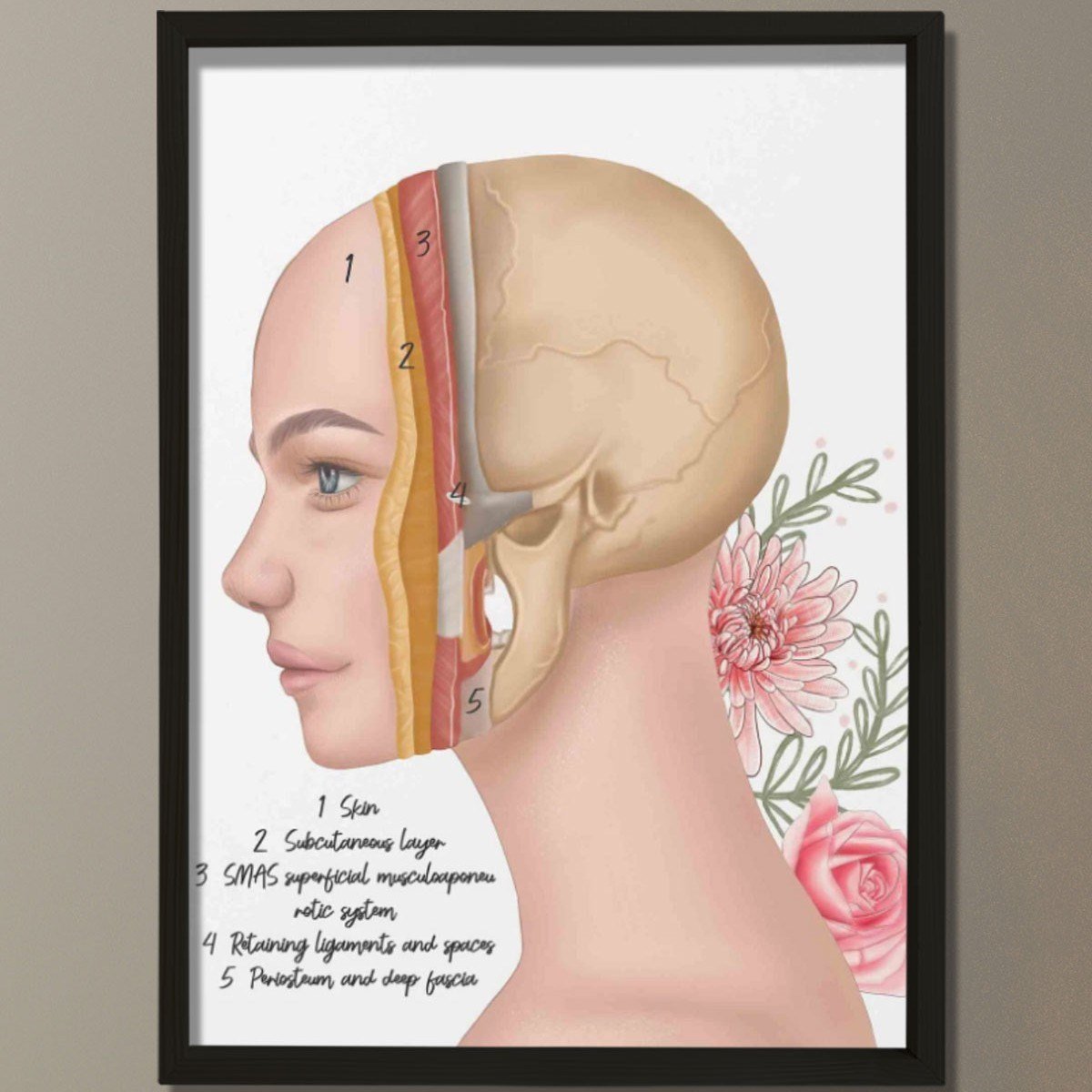 Cilt Katmanları, Yüz Rekonstrüktif Cerrahi, Plastik ve Estetik Cerrahı, Doktor Odası Duvar Tablosu