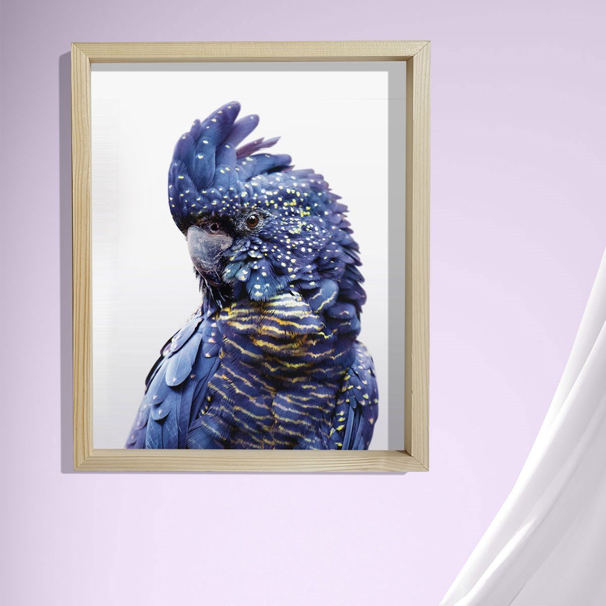 Doğal Çam Çerçeveli Bebek ve Çocuk Odası Duvar Tablosu Kakadu Kuşu