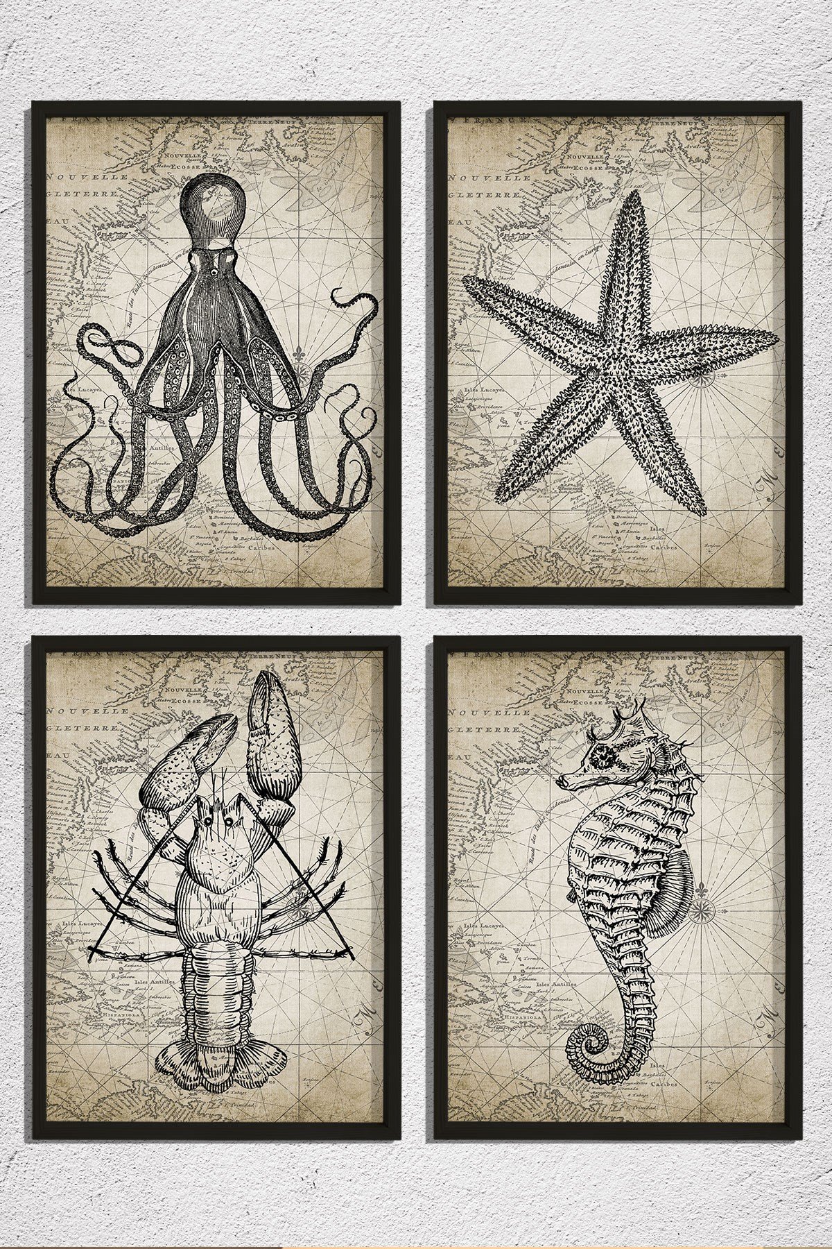 Doğal Çam Çerçeveli Duvar Tablosu Antik Deniz Canlıları Karakalem 4 lü Set