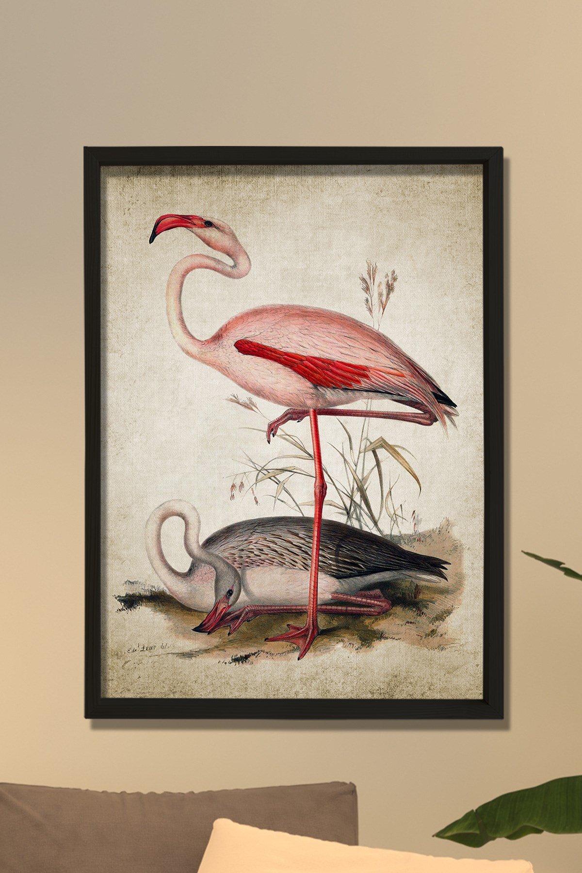 Doğal Çam Çerçeveli Duvar Tablosu Antik Flamingo