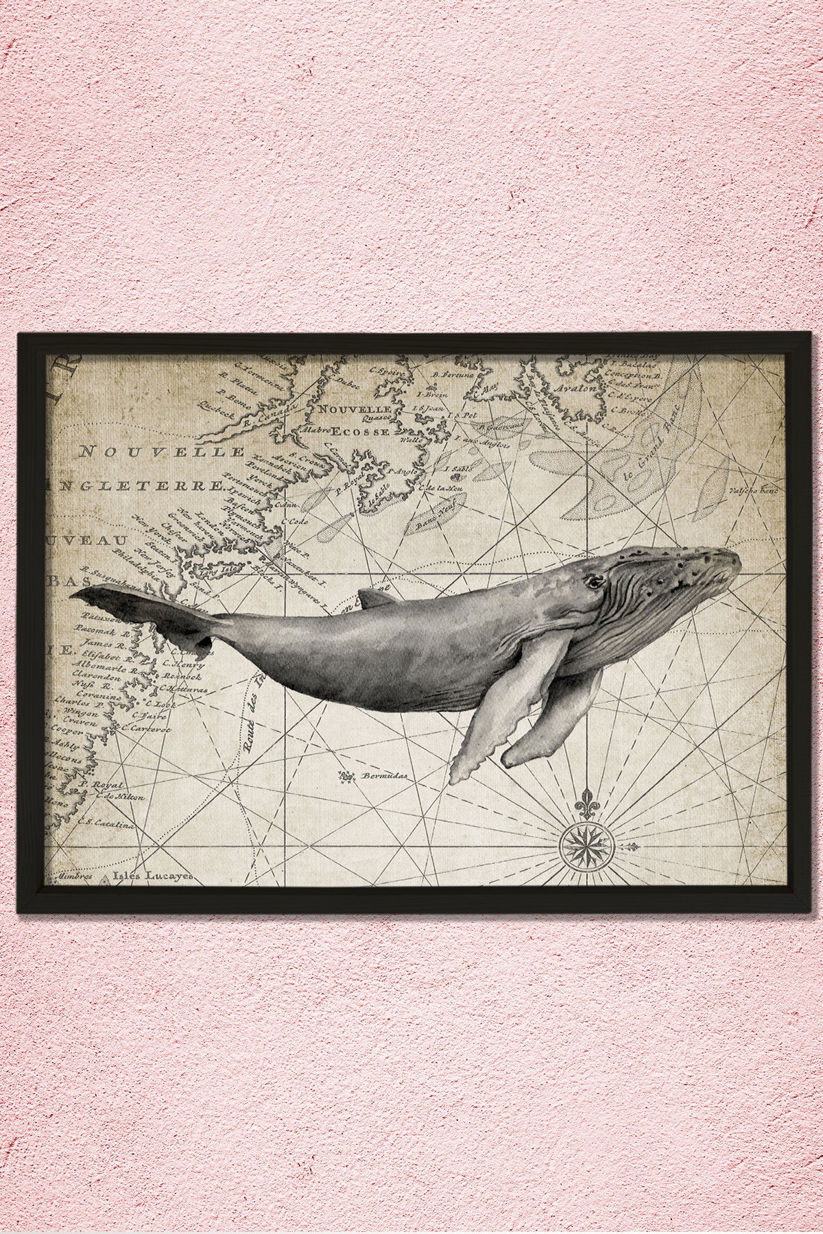 Doğal Çam Çerçeveli Duvar Tablosu Antik Balina ve Harita