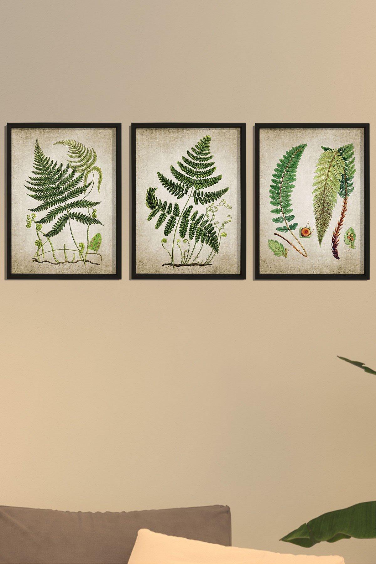 Doğal Çam Çerçeveli Duvar Tablosu Antik Fern Bitki Sanatı