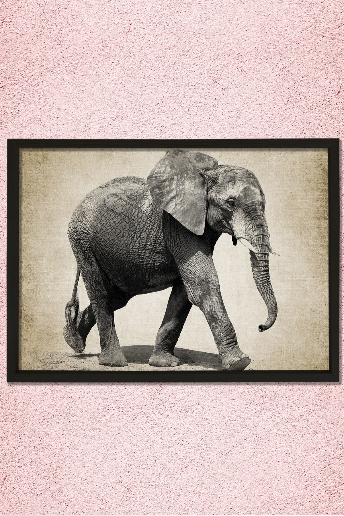 Doğal Çam Çerçeveli Duvar Tablosu Antik Fil