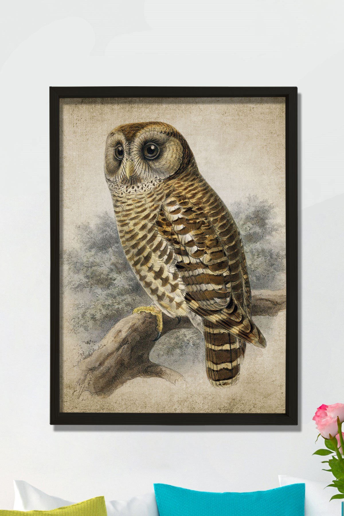 Doğal Çam Çerçeveli Duvar Tablosu Antik Baykuş