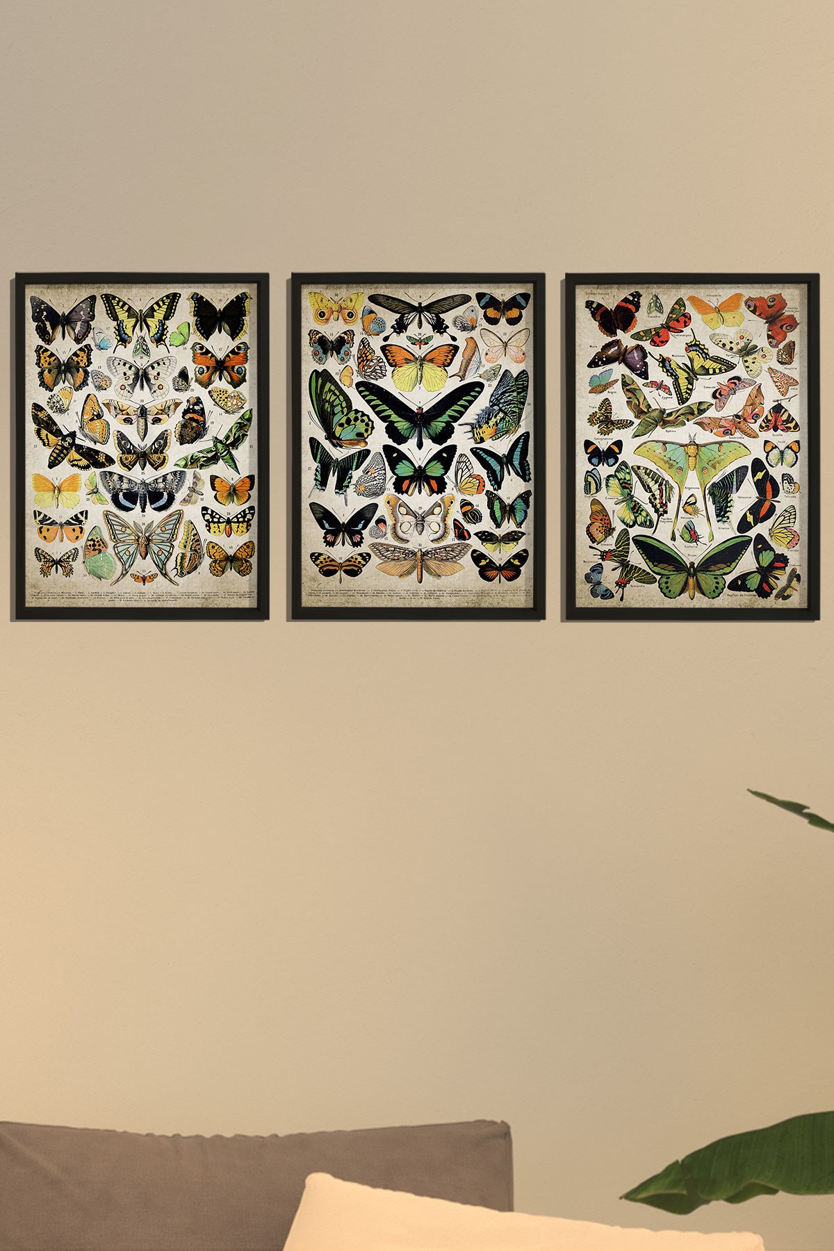 Doğal Çam Çerçeveli Duvar Tablosu Duvar Tablosu Antik Kelebek Sanat Baskısı