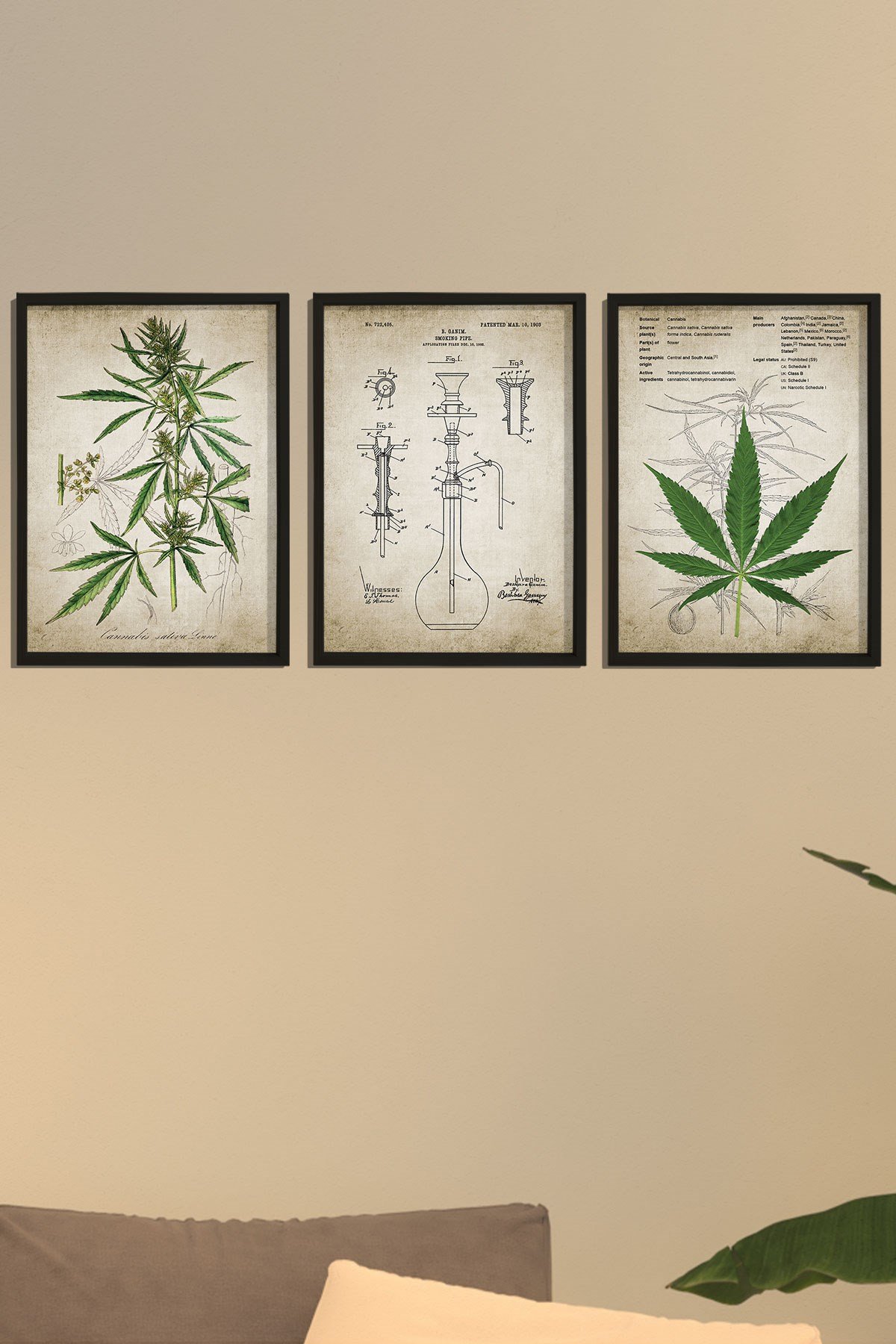 Doğal Çam Çerçeveli Duvar Tablosu Kenevir Bitki Pipo Patenti