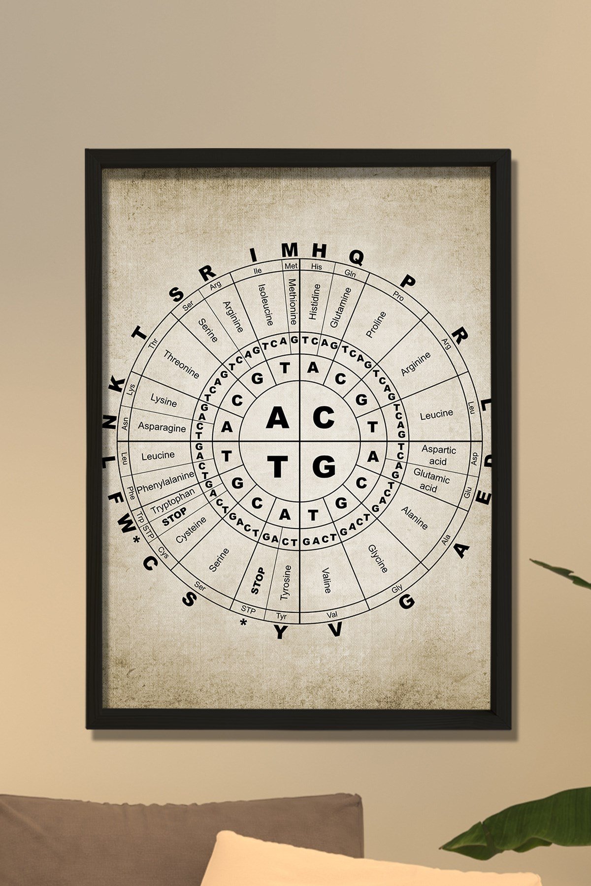 Doğal Çam Çerçeveli Duvar Tablosu Moleküler Biyoloji Genetik Kod