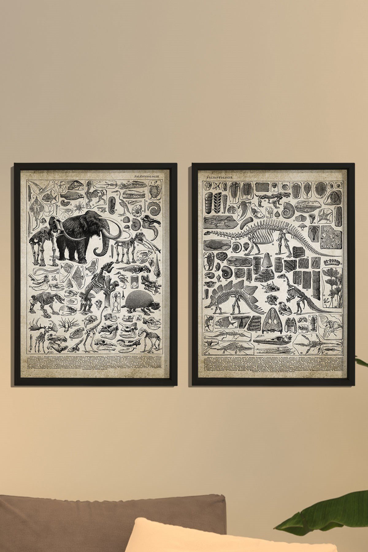 Doğal Çam Çerçeveli Duvar Tablosu Prehistorik Resim ve İsimleri