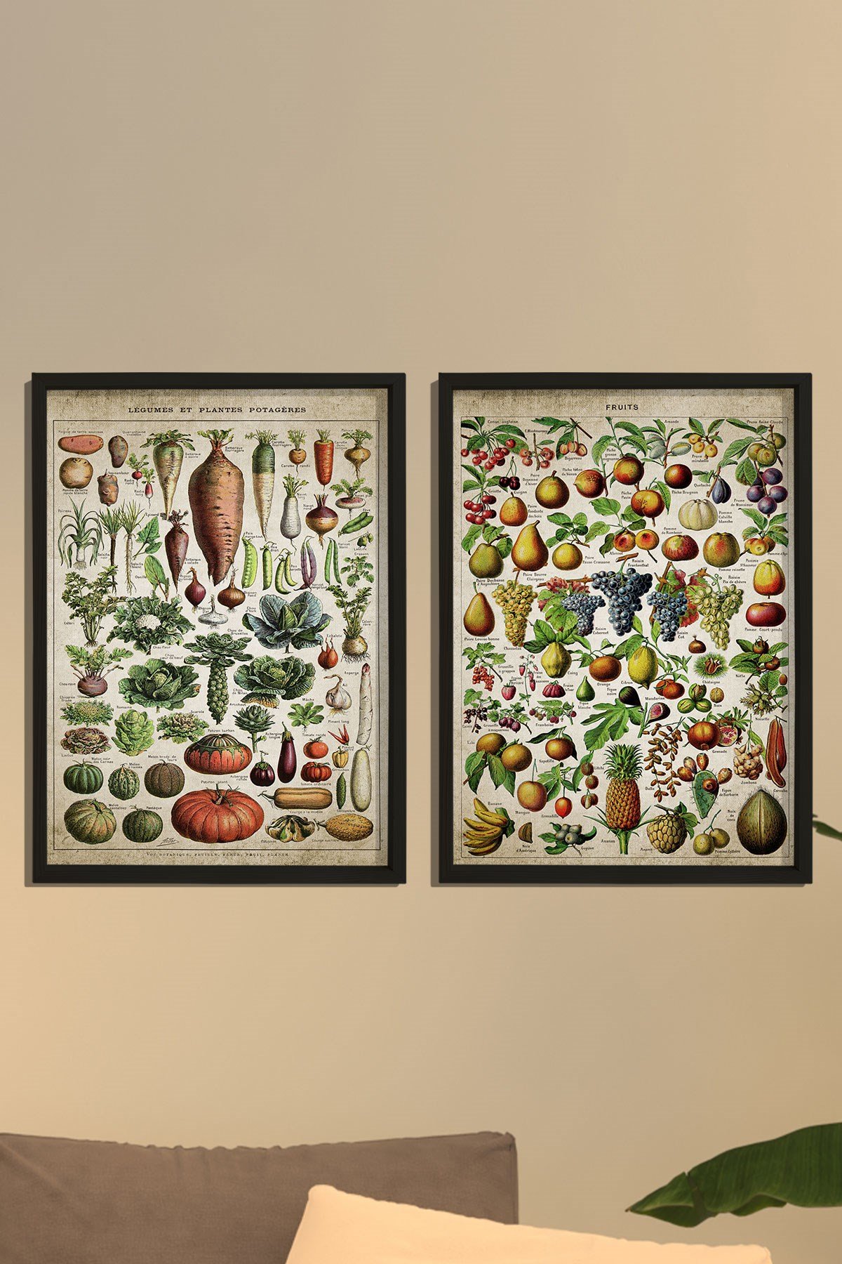 Doğal Çam Çerçeveli Mutfak Duvar Tablosu Antik Meyve - Sebze ve İsimleri