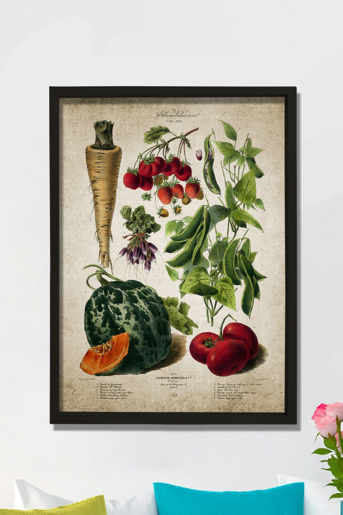 Doğal Çam Çerçeveli Mutfak Duvar Tablosu Sebzeler Antik Baskı