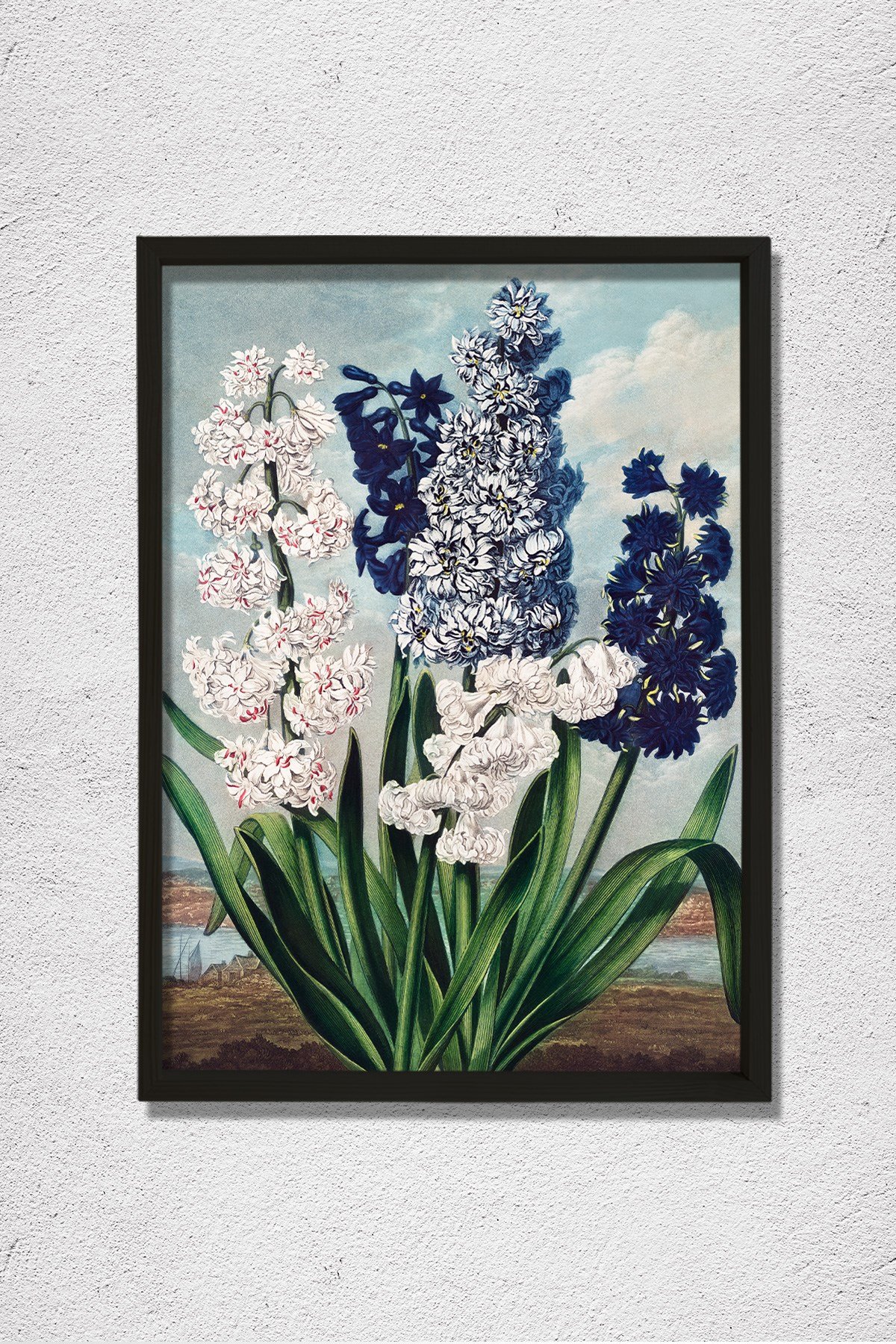 Flora Tapınağı'ndan Sümbül 1807 Doğal Ahşap Duvar Tablosu