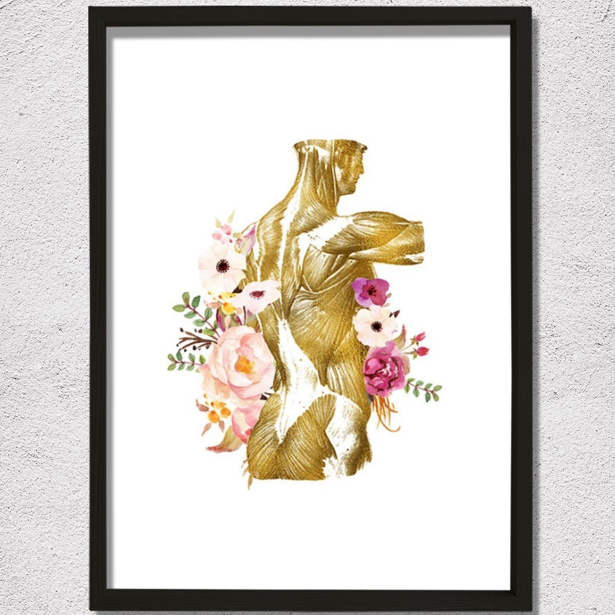 İnsan Anatomisi Baskısı, Kas Sistemi, Fiziksel Terapist Ofis Dekoru