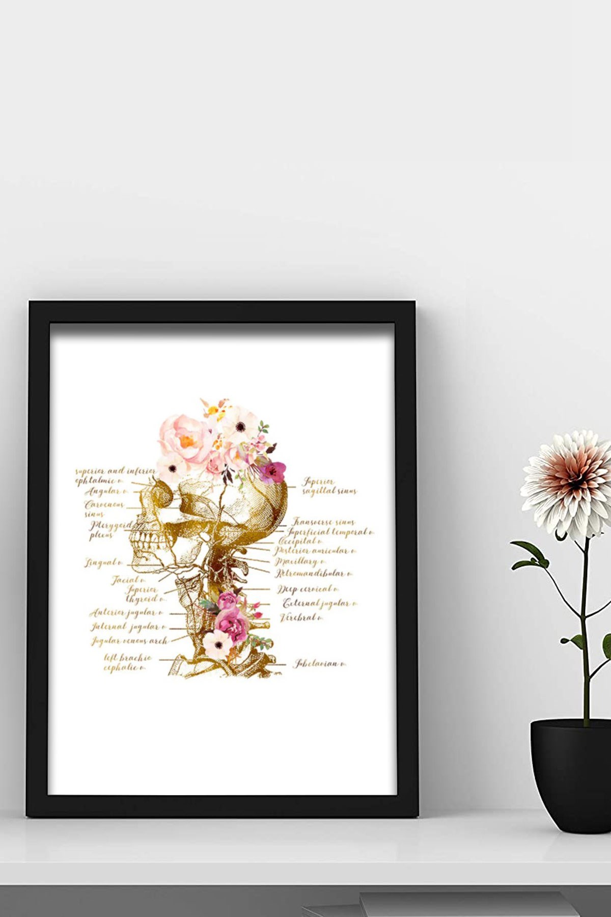 İnsan Anatomisi, Beyin Damarları ,Kafatası Sanatal Doktor Odası Duvar Tablosu