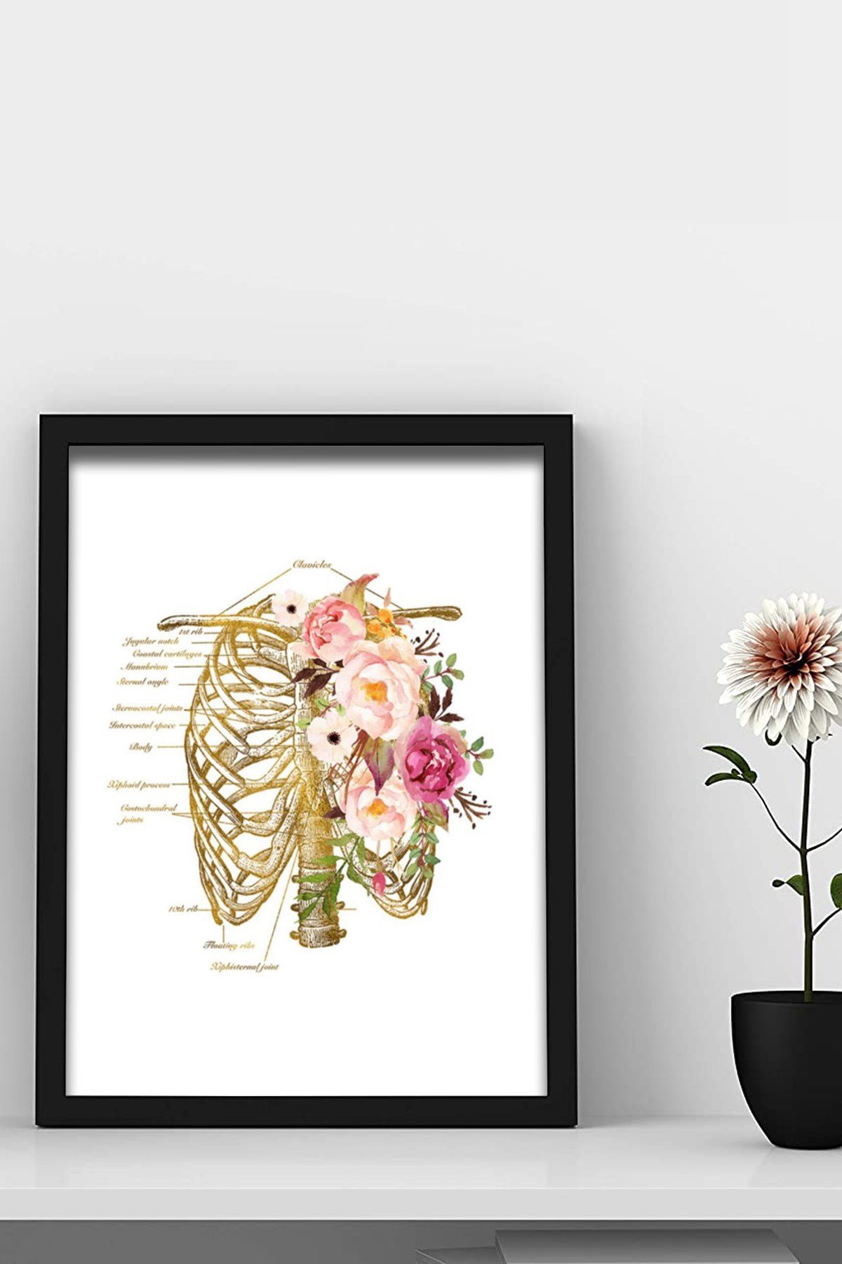 İnsan Anatomisi, Göğüs Kafesi, İskelet Sanatsal Doktor Odası Duvar Tablosu