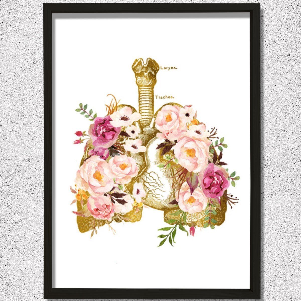 İnsan Anatomisi Sanatsal Baskısı, Solunum Sistemi, Göğüs Hastalıkları Doktor Tablosu