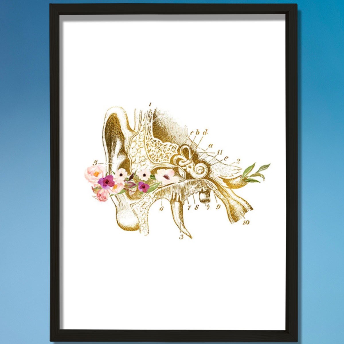 İnsan Kulak Anatomisi, Kulak Sanatsal Baskısı, Odyolog Ofis Dekoru