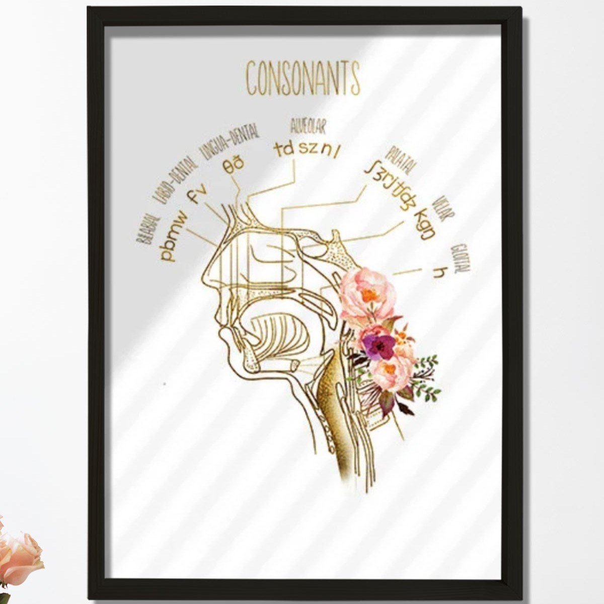 Konuşma Dili Patoloğu, Konuşma Terapisti Ofis Dekorasyonu