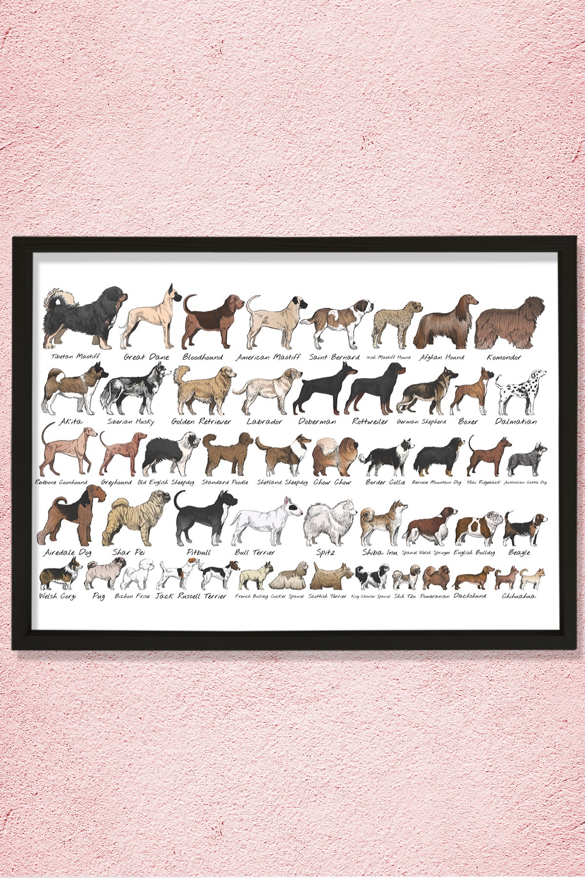Köpek Irkları, Köpek Cinsi Koleksiyonu Doğal Ahşap Duvar Tablosu