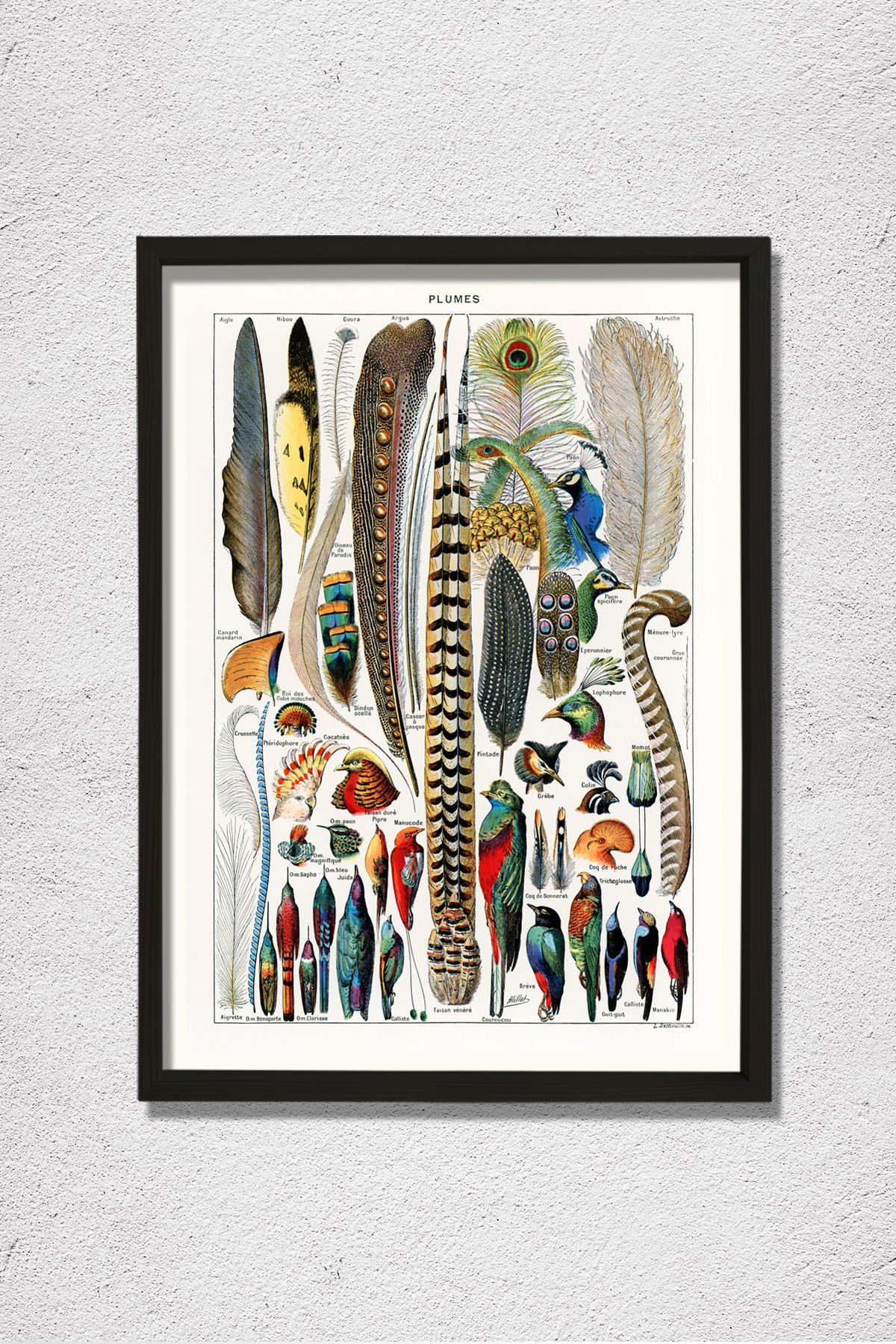 Kuş Tüyü Kolleksiyonu 1857 Doğal Ahşap Duvar Tablosu