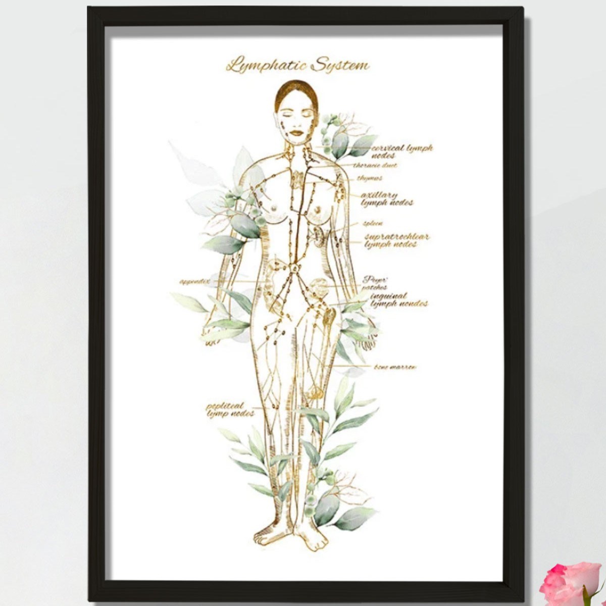 Lenfatik Sistem Sanatı, Endokrinoloji Dekoru, Lenf Düğümleri Anatomi Sanatı, Doktor Hediyesi