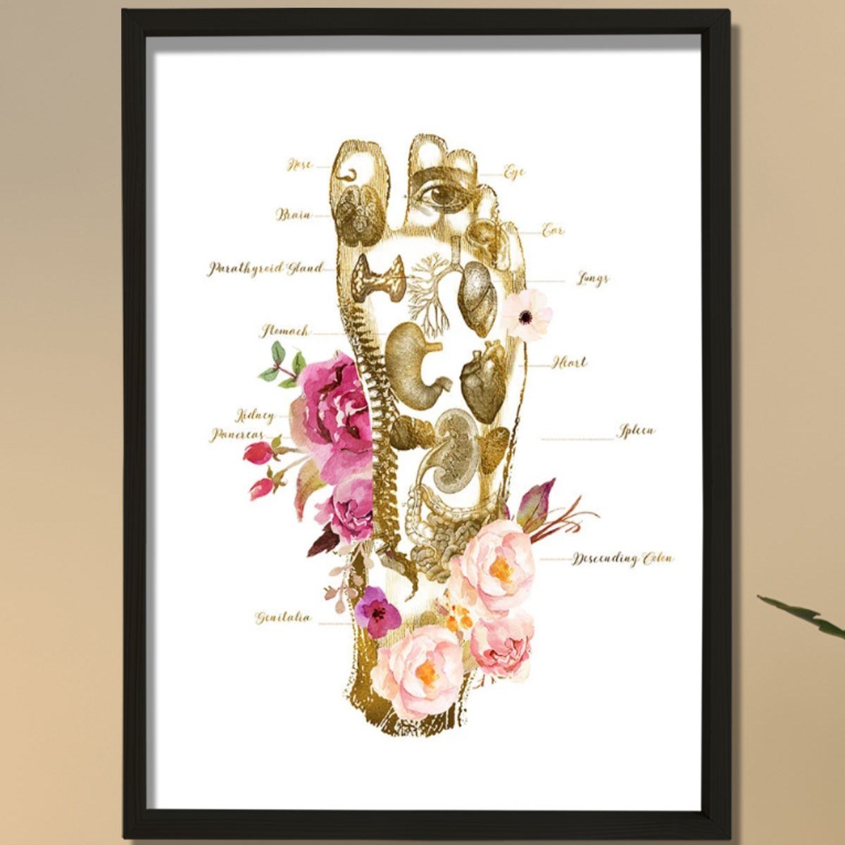 Masaj Terapisti Hediyesi, Ayak İzi, Refleksoloji Doktoru Ofis Tablosu