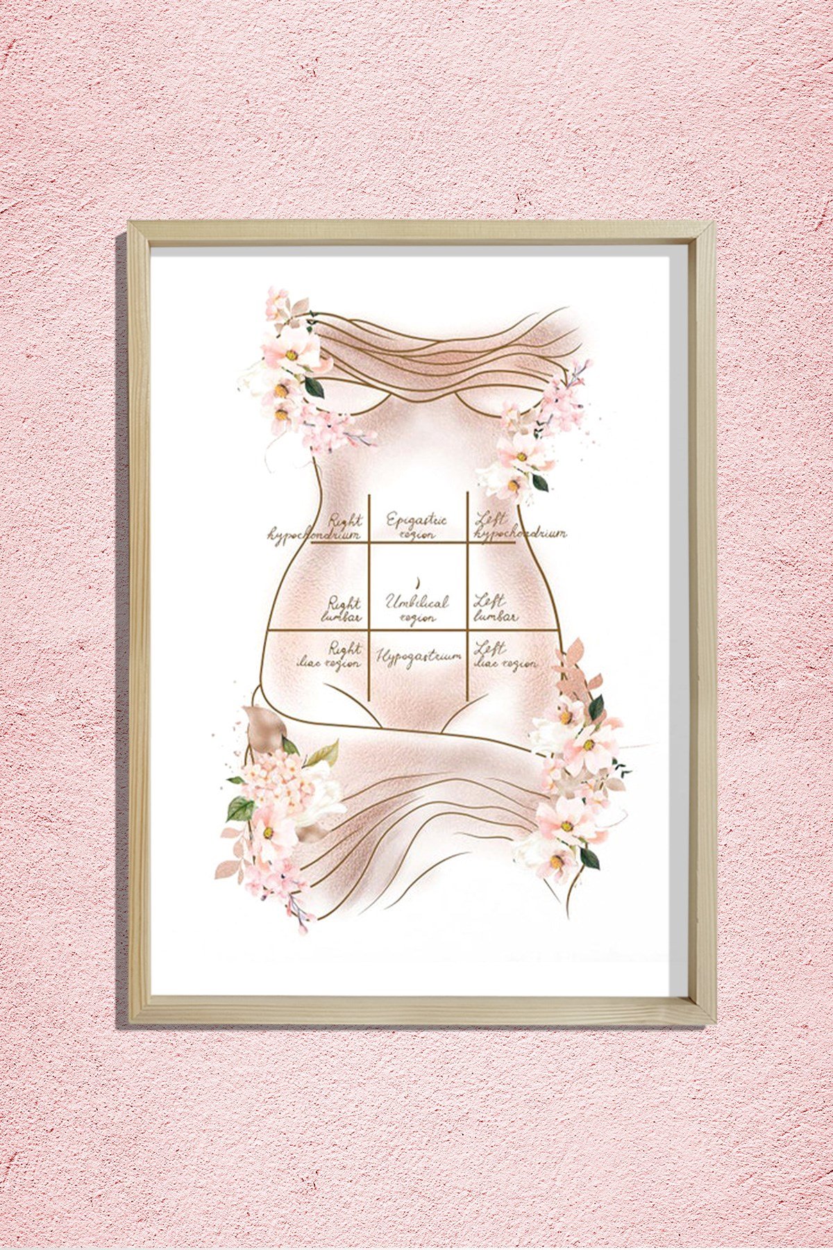 Mide Çeyrekleri, Göbek, Karın Germe, Liposuction, Plastik ve Estetik Cerrahı, Doktor Odası Duvar Tablosu