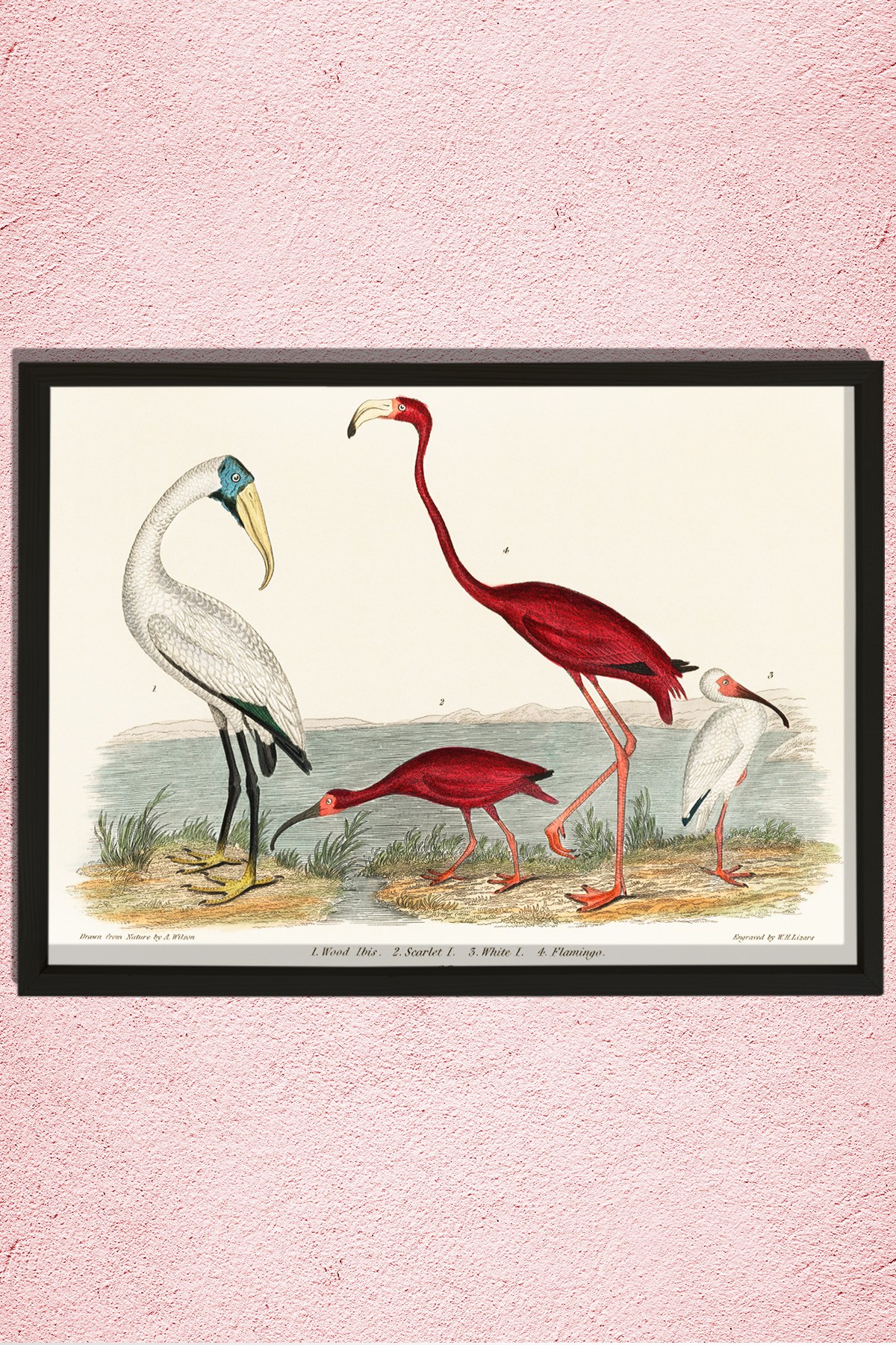 Nostaljik Flamingo 1843 Doğal Ahşap Duvar Tablosu