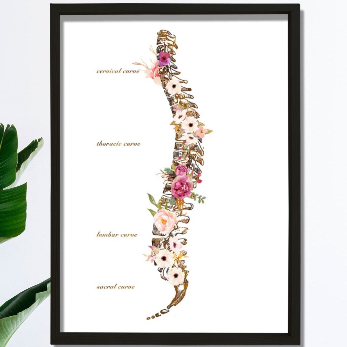 Omurilik Anatomisi Sanatı Vertebral Sütun Baskısı, Kayropraktik Ofis Dekoru