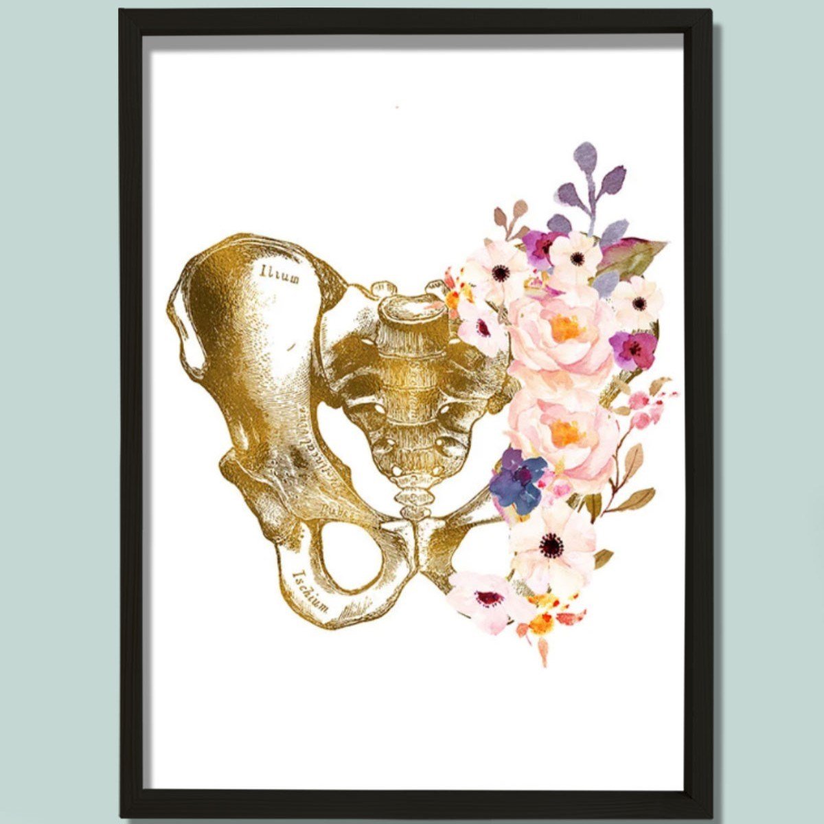 Pelvis Sanatı, Anatomik Baskı, Medikal Anatomi Sanatı Doktor Odası Duvar Tablosu