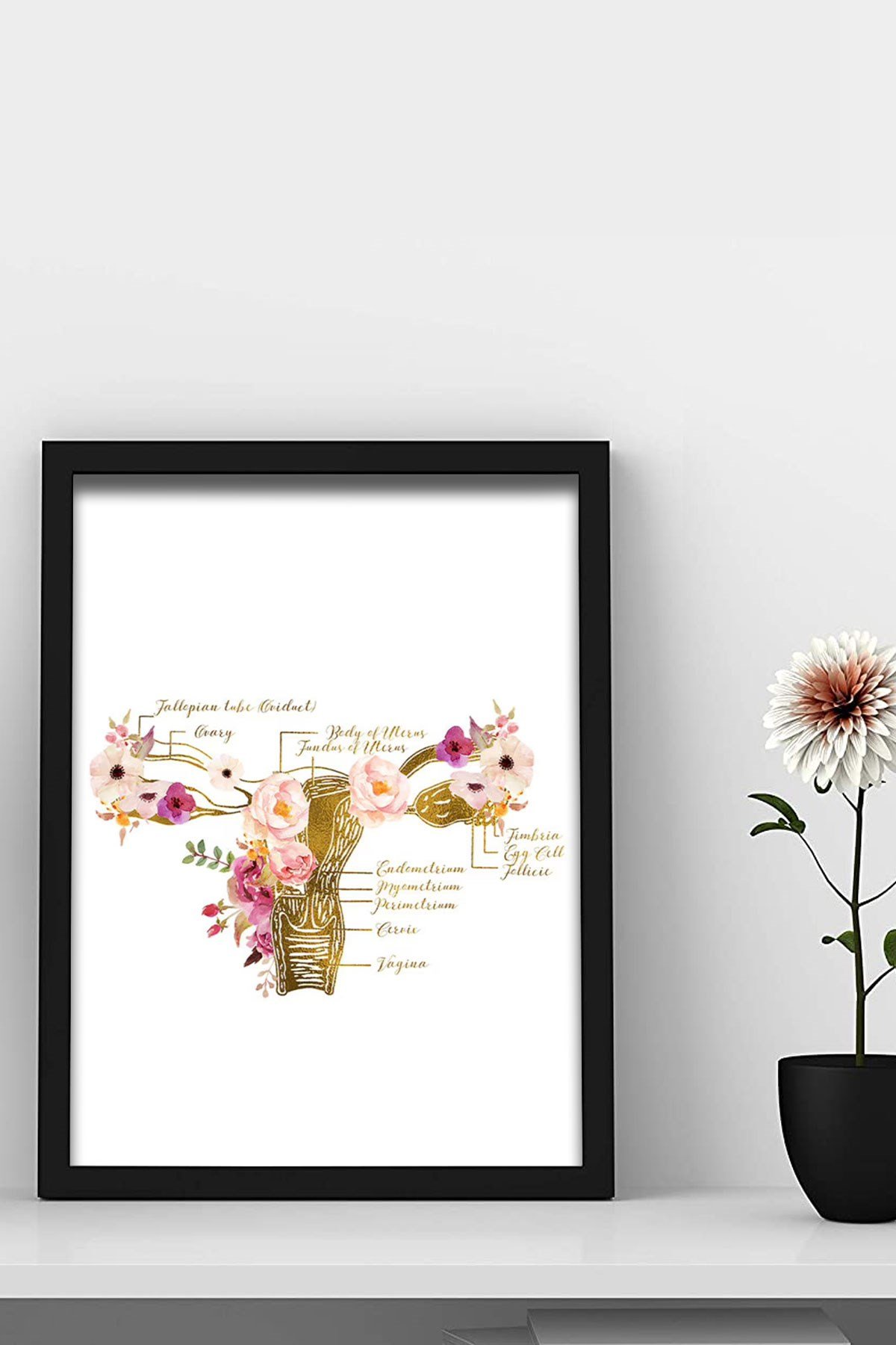 Rahim Sanatı , İnsan Organları Anatomisi, Jinekolog Doktor Odası Duvar Tablosu