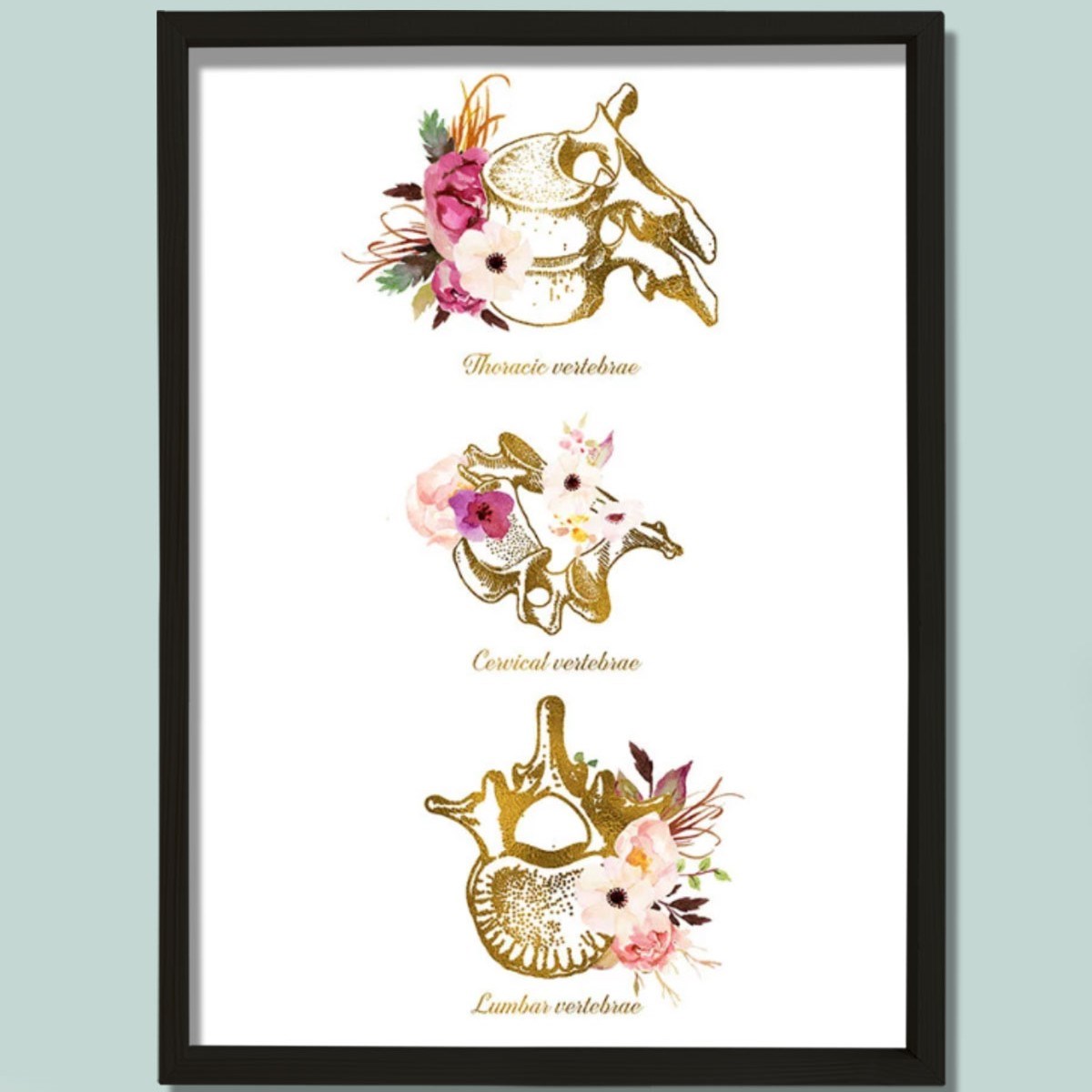 Vertebra Anatomi Sanatı, Servikal, Torasik, Lomber, Kayropraktik Ofis Dekoru