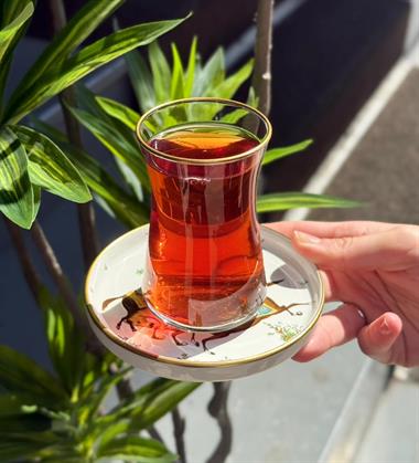 12 Parça 6 Kişilik İstinye Serisi Çay Takımı Horse