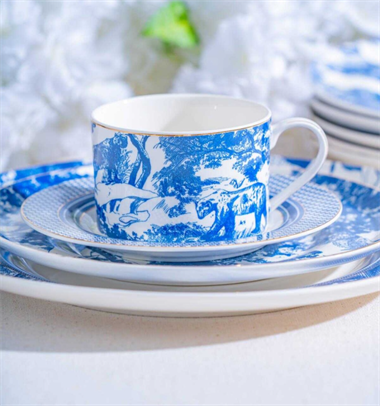 19 Parça Destinee Porselen Pasta Seti