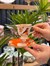 6 Kişilik Porselen Lavin Bird Orange Kahve Fincanı 