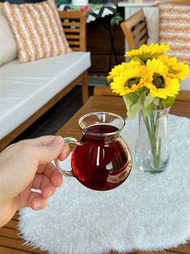 6lı Boroslikat Cam Keyif Çay Bardağı - Kulplu