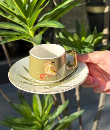6lı Porselen Kahve Fincanı Bird Green